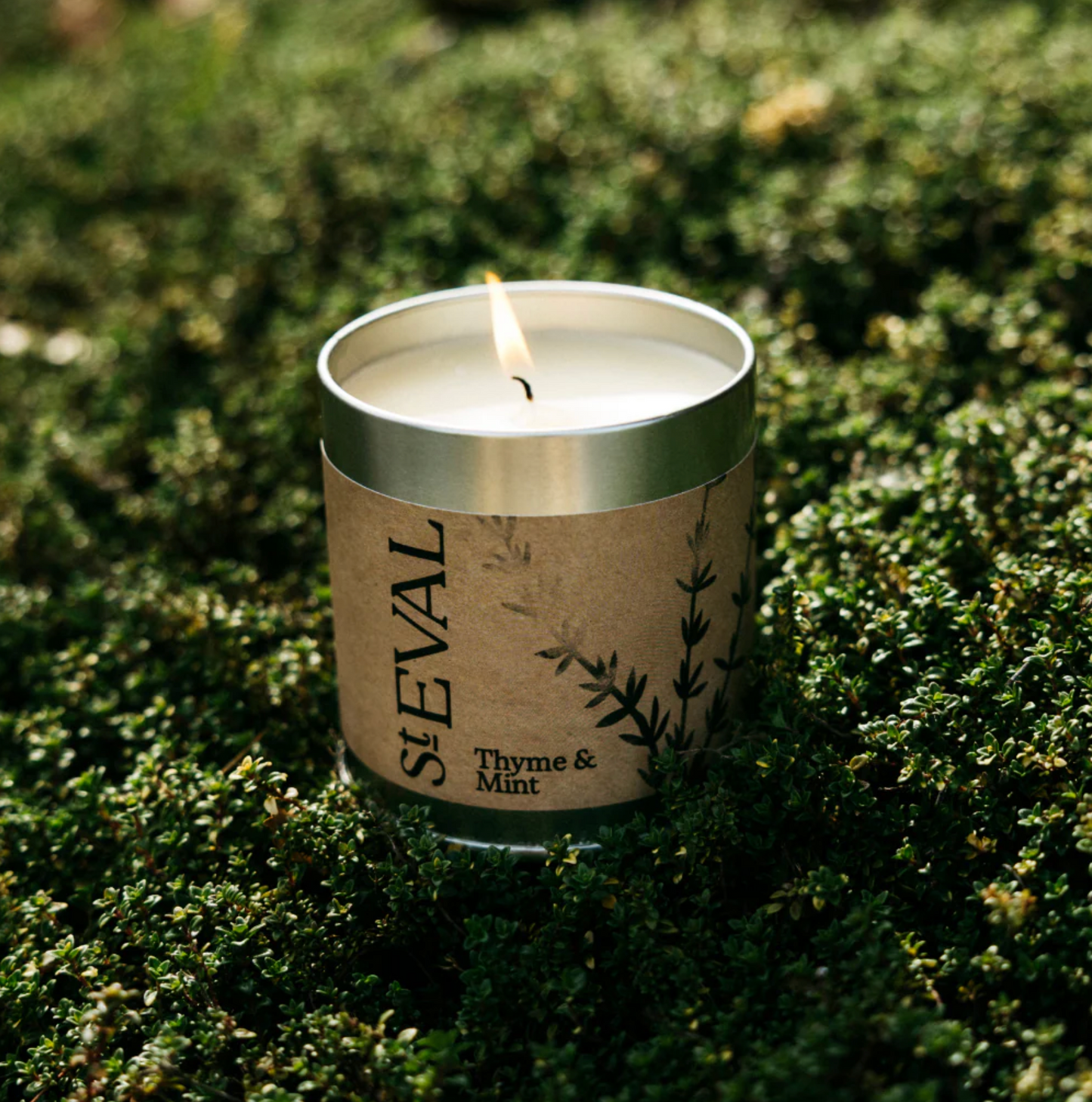 St Eval Thyme & Mint Scented Tin Candle